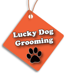 Lucky Dog Grooming